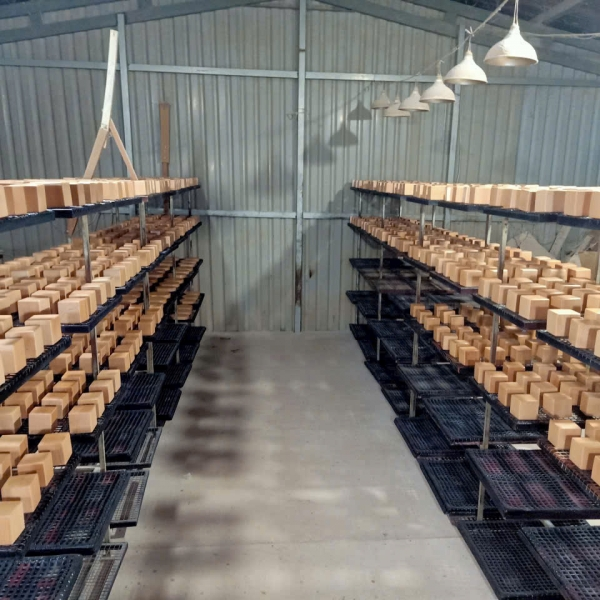 Kỷ niệm chương